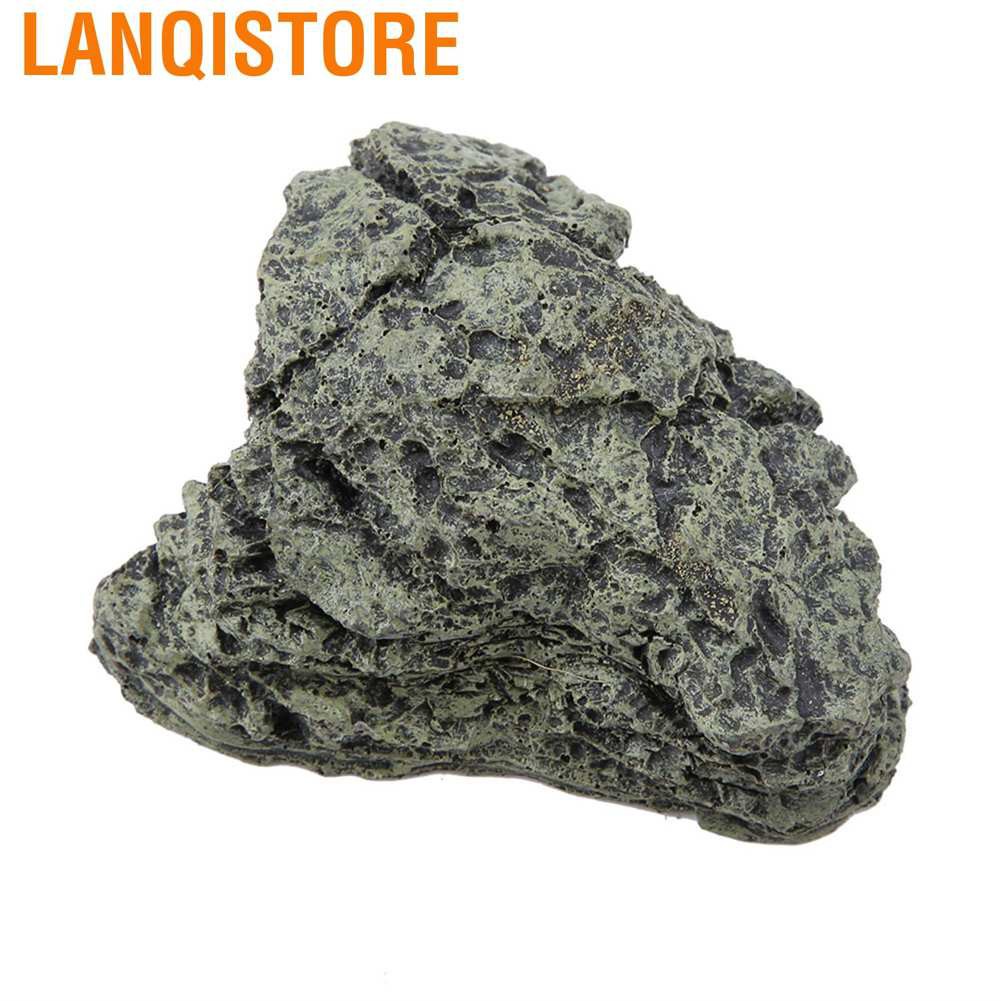 Hang Nuôi Rùa / Động Vật Bò Sát Trang Trí Bể Cá