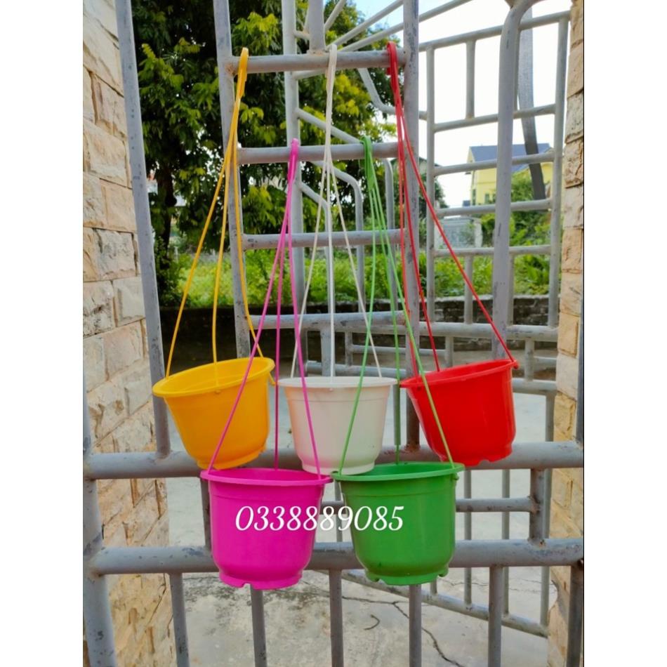 10 chậu treo trồng cây, trồng hoa - chậu nhựa treo tròn hàng đẹp đủ màu sắc