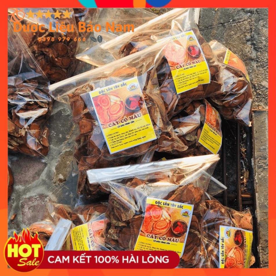 Cây cỏ máu, cỏ béo tăng cân dược liệu quý tại rừng già Sìn Hồ Lai Châu -1kg