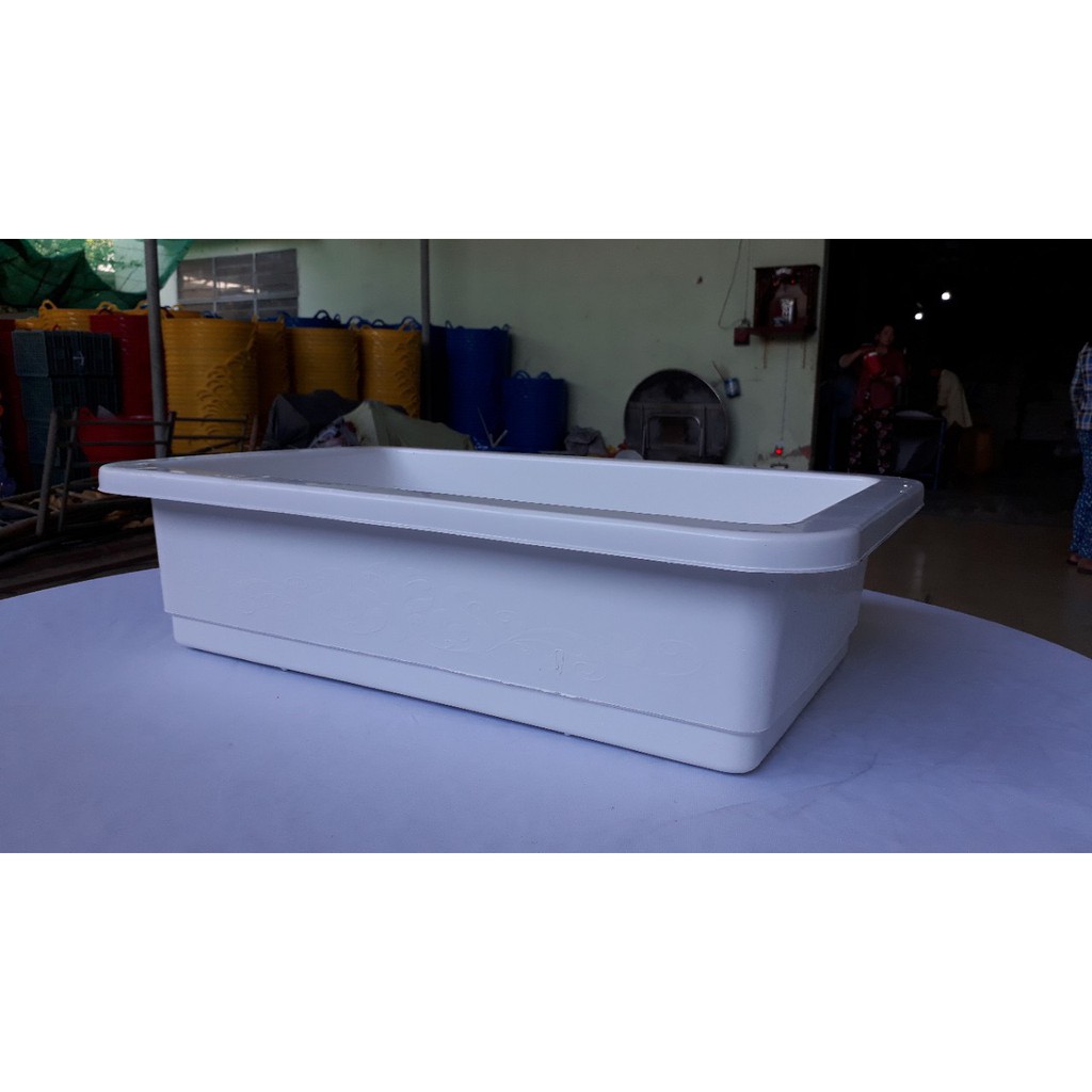 Khay nhựa trồng rau