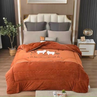  Chăn Lạc Đà Nhập khẩu Cao Cấp