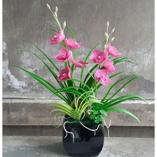 chậu hoa địa lan bằng đất sét