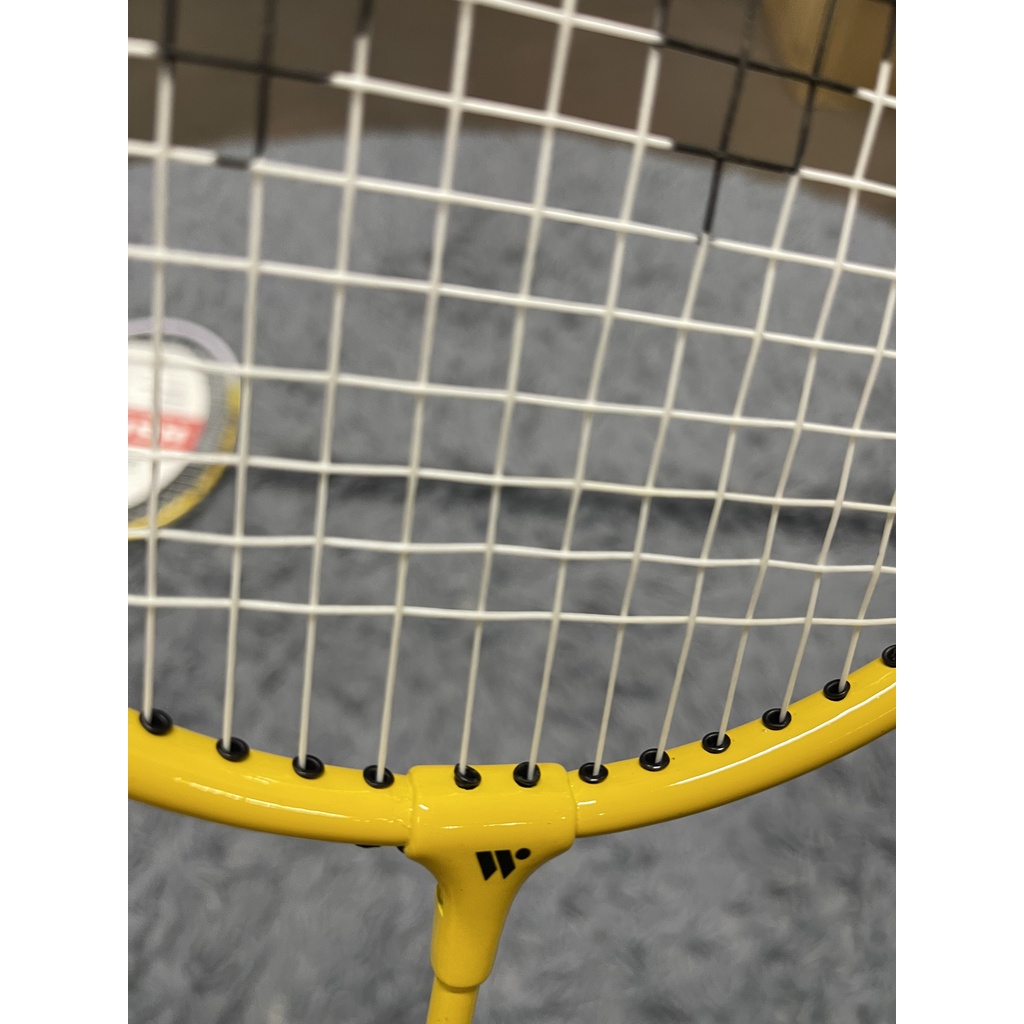 Vợt Cầu lông Wish 308 cho Học Sinh, người mới chơi