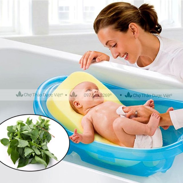 100g Kinh Giới
