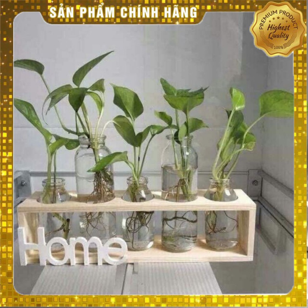 🏵️🏵️Sét 5 lọ hoa kèm kệ gỗ Home🏵️🏵️