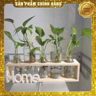 🏵️🏵️sét 5 lọ hoa kèm kệ gỗ home🏵️🏵️