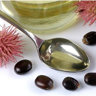 Dầu Thầu Dầu(Castor Oil) 10ml