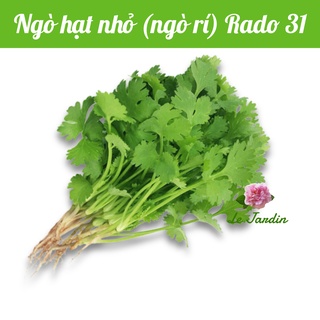 Hạt giống ngò rí (rau mùi) Rado 31 gói 20gr