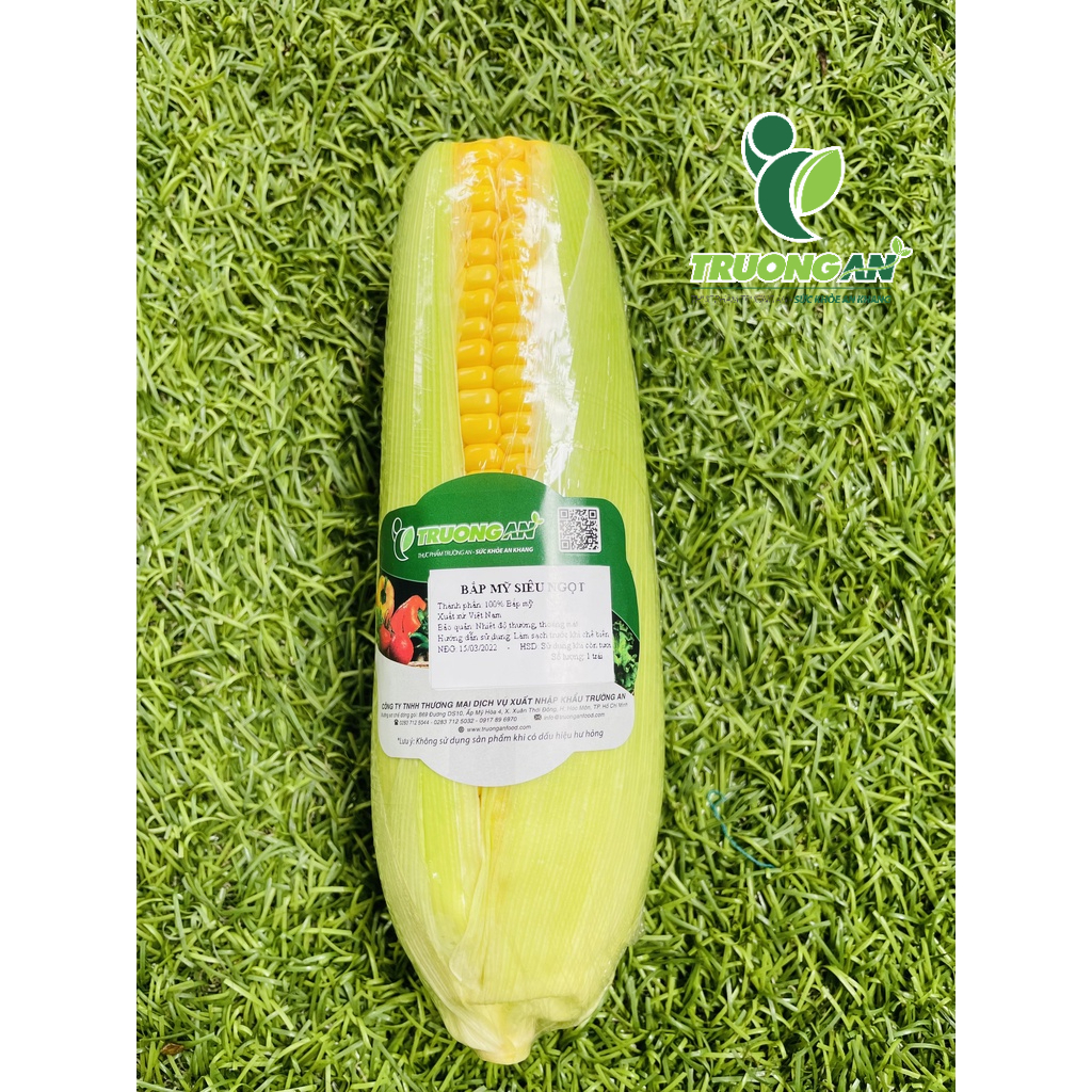 BẮP GIỐNG MỸ NGỌT 2 TRÁI
