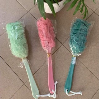 CÂY CỌ LƯNG TẮM BÔNG TẮM CÁN DÀI