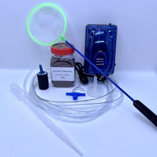 Combo bộ ấp artemia full 9 món - 10 món