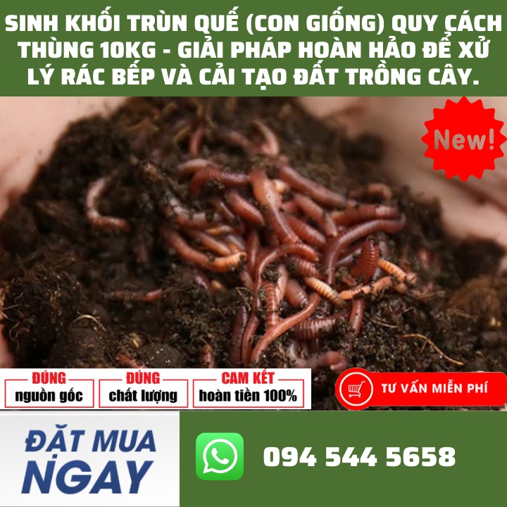 Sinh Khối Trùn Quế (Con Giống) Quy Cách Thùng 10KG - Giải Pháp Hoàn Hảo Để Xử Lý Rác Bếp Và Cải Tạo Đất Trồng Cây.