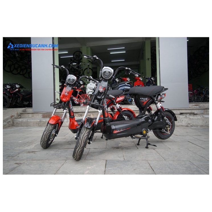 Xe đạp điện M133