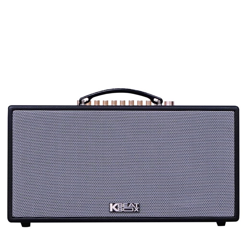 Loa karaoke Acnos NL446R - Chống hú di tần