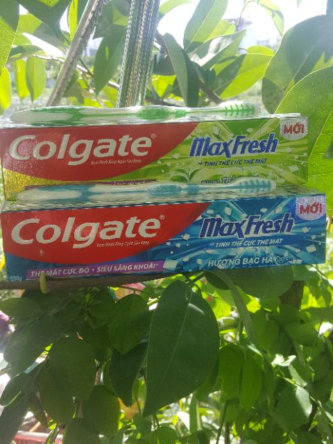 Kem đánh răng Colgate Maxfresh 200g tặng bàn chải