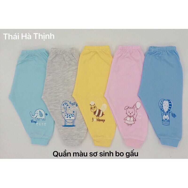 Quần sơ sinh cotton bo gấu cho bé