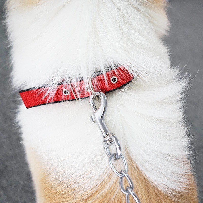 Vòng cổ chất liệu dây dù lót bọt sinh học polypropylene cao cấp (size lớn tới 45kg), vòng cổ cho chó