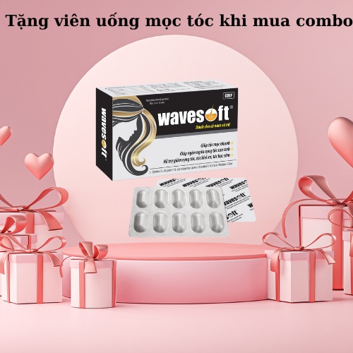 Combo Dầu Gội Phủ Bạc SHISENGLY (Phủ Đen+Nâu) - Quà Tặng Kèm