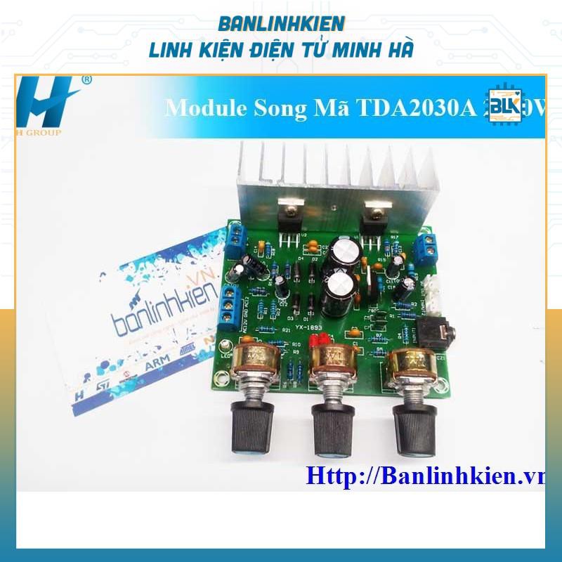 Mô đun Module Song Mã TDA2030A 2x30W