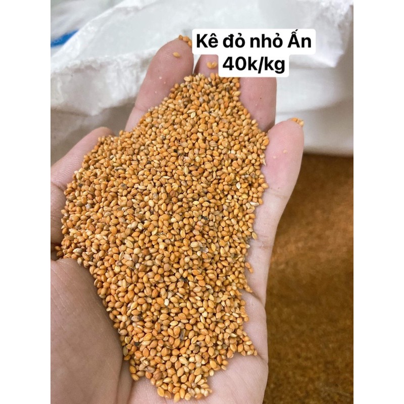 1kg Hạt kê đỏ hạt nhỏ Ấn , Argentina.
