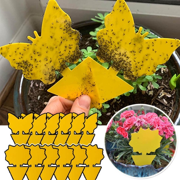Set 10 Miếng Dán Cánh Tay / Bảng Màu Vàng Hai Mặt Hình Bướm / Hoa Hướng Dương Có Thể Chuyển Đổi Được