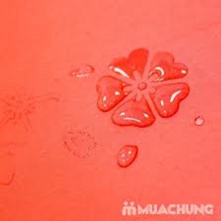 [SALE GỐC] Ô NỞ HOA KHI GẶP NƯỚC ( ĐỦ MÀU )