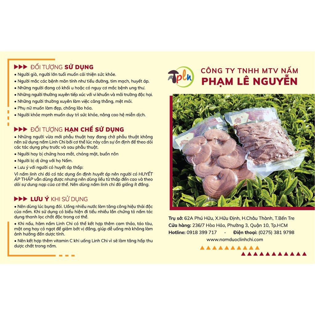 Nấm Linh Chi PLN Nguyên Tai Hộp 250gr XCGT | BigBuy360 - bigbuy360.vn