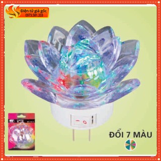 Đèn ngủ hoa sen 7 màu có công tắc