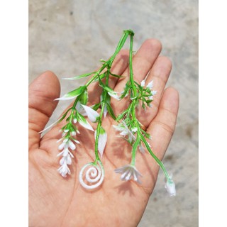 cỏ điểm 100gram