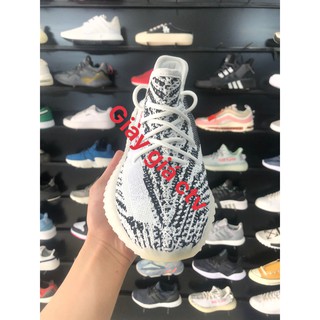 Giày thể thao yz sneaker vằn ngựa