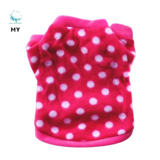 Đồ giữ ấm dễ thương cho thú cưng
