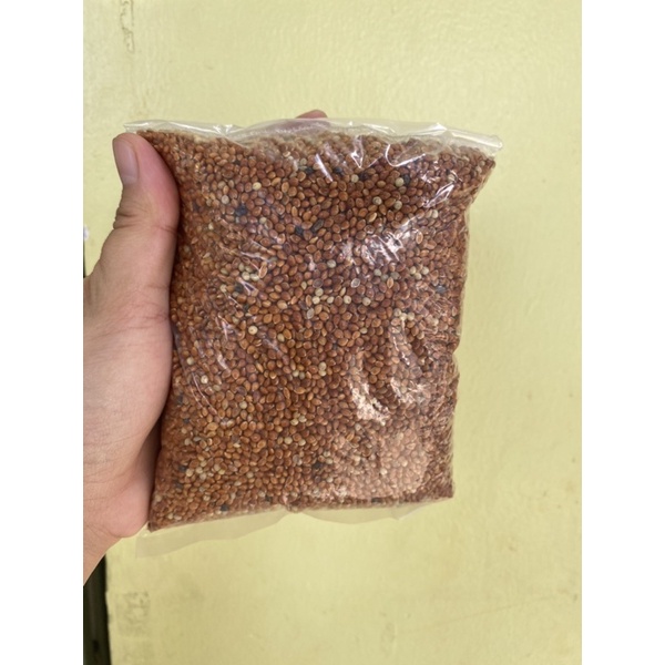 Kê vàng, kê đỏ cho chim cu, yến phụng...