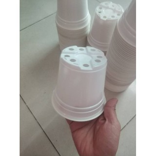 Chậu nhựa trắng size 10cm trồng rau củ quả