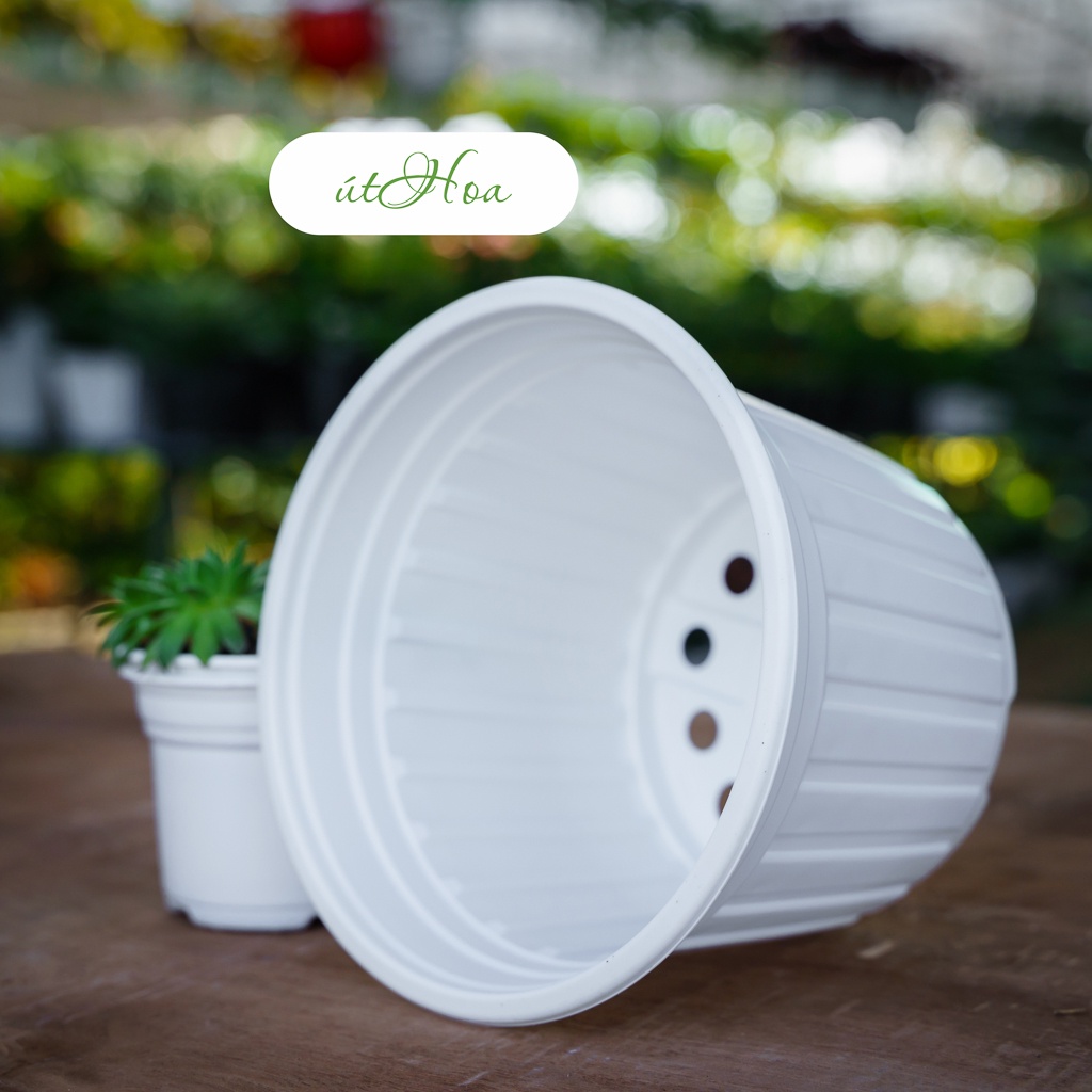 100 chậu nhựa trắng T18 (18x14.6 cm) nhựa tốt bền đẹp