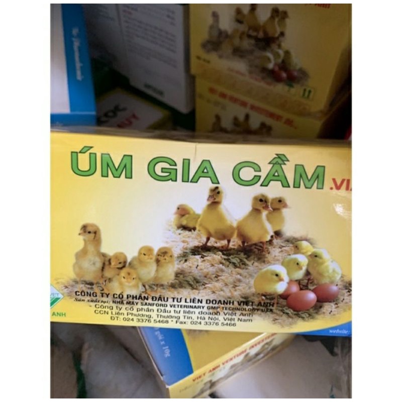 Úm gia cầm gà con vịt con