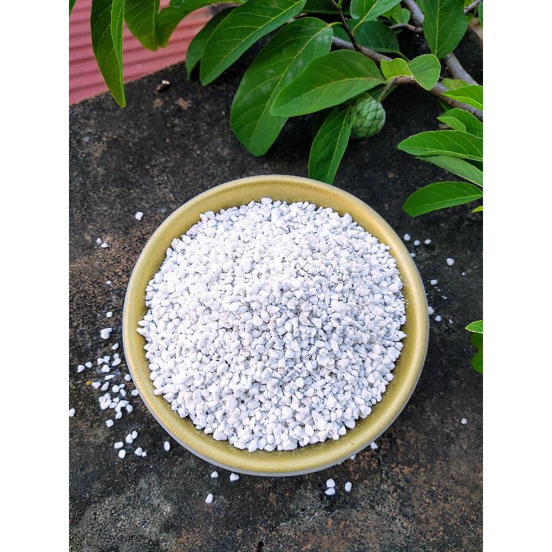 Đá perlite giá thể trồng cây, sen đá (ảnh thật) 500g