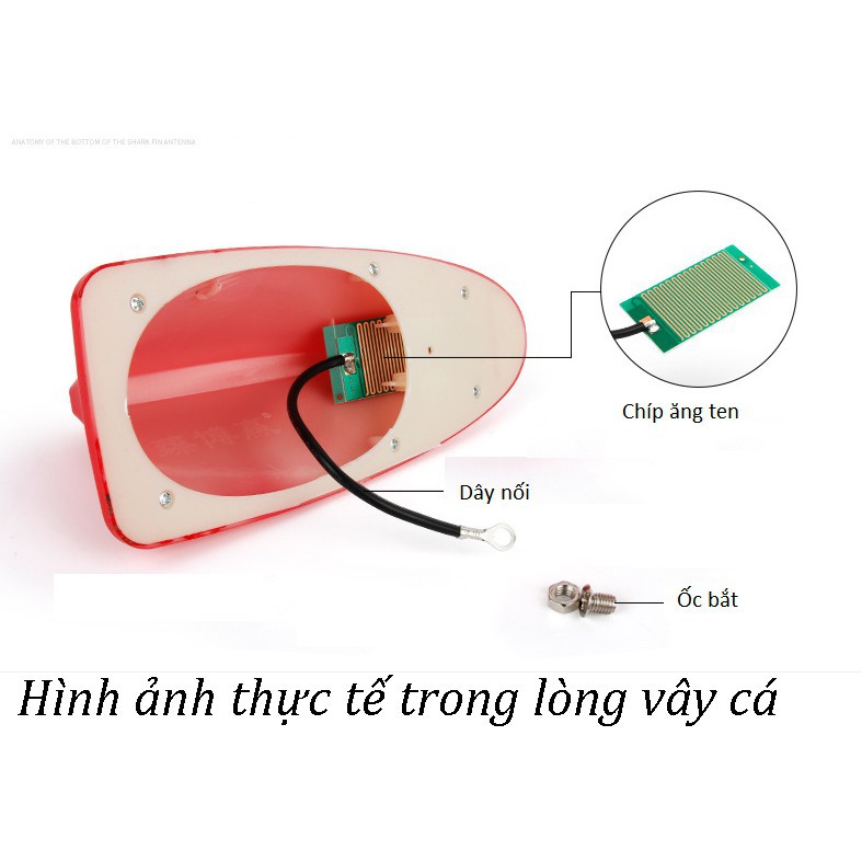 Vây cá mập có ăng ten 8 màu LOẠI 1 ô tô xe hơi