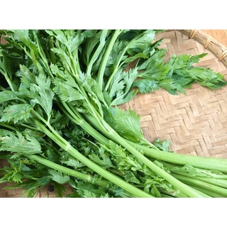 Cần tây (1kg)