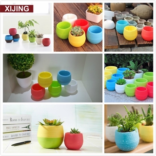 Chậu Hoa Để Bàn Nhiều Màu Sắc Xinh Xắn