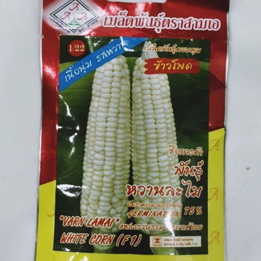 Hạt giống ngô/bắp nếp trắng nhập thái lan nguyên gói 20gr = 60 hạt_Ngô bắp sữa siêu ngọt dẻo