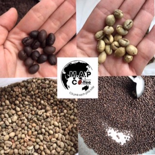 1kg CÀ PHÊ ARABICA