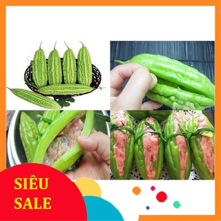 10 hạt giống khổ qua vietphat