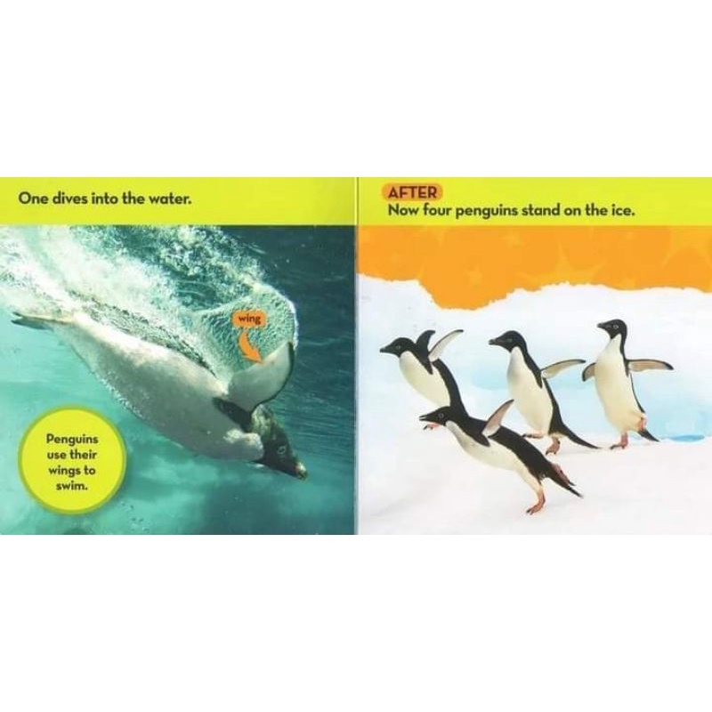 NATIONAL GEOGRAPHIC KID LOOK & LEARN