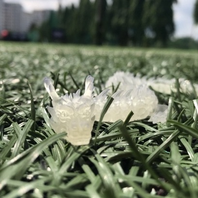 Mô hình rồng in Resin 3D