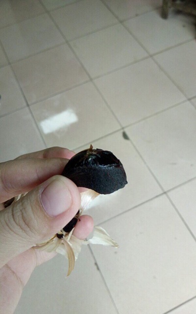 Nồi làm tỏi đen | BigBuy360 - bigbuy360.vn