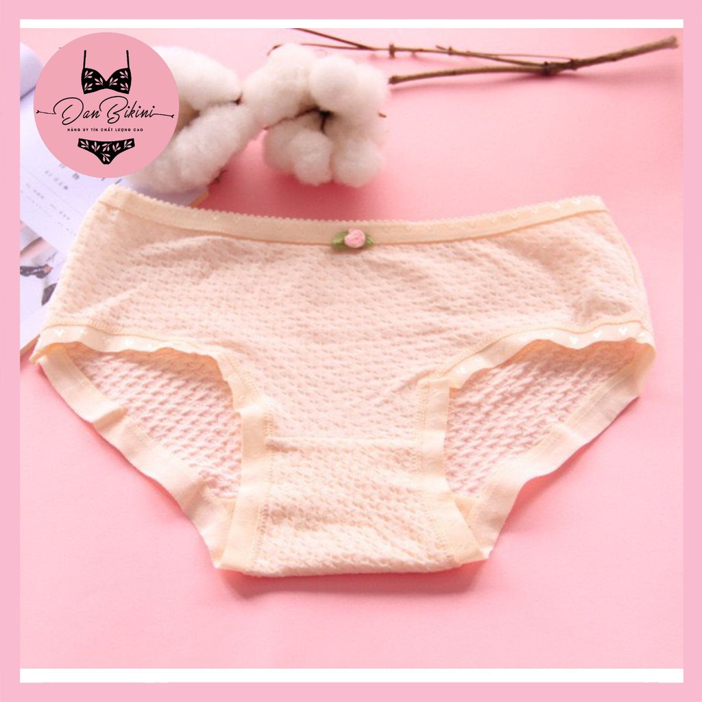 Quần Lót Nữ Cotton kháng khuẩn thoáng mát được chọn màu mã 9040 | BigBuy360 - bigbuy360.vn