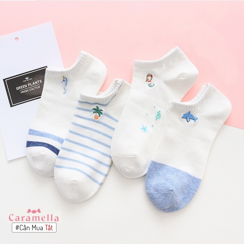 Tất nữ cổ ngắn Caramella set vớ nữ 4 đôi chủ đề Biển Xanh 2020 Freesize chân 35 tới 39 kèm túi zip