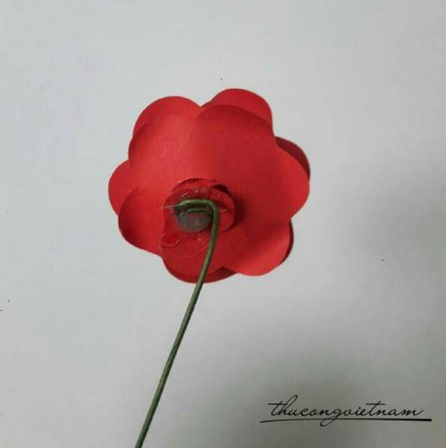 Bộ khuôn làm hoa hồng
