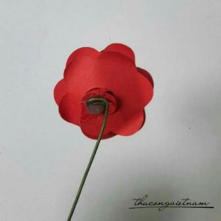 Bộ khuôn làm hoa hồng