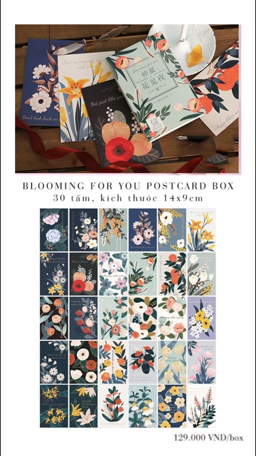 Thiệp trang trí - Postcard full box